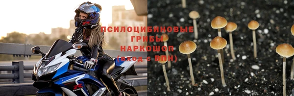 молекула духа Карпинск