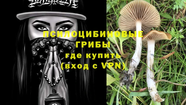 ГАЛЛЮЦИНОГЕННЫЕ ГРИБЫ Карталы