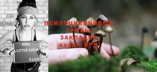 ГАЛЛЮЦИНОГЕННЫЕ ГРИБЫ Карталы
