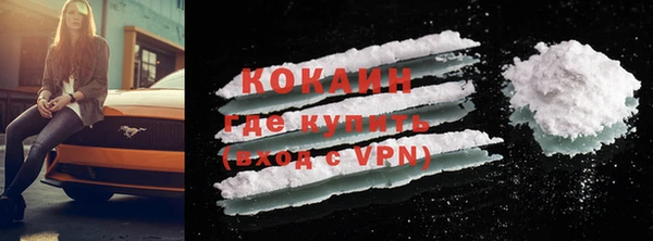 ГАЛЛЮЦИНОГЕННЫЕ ГРИБЫ Карталы