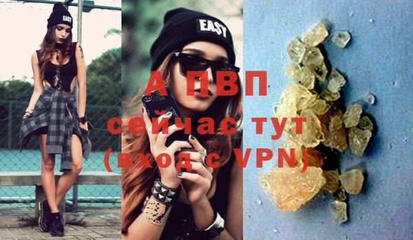 молекула духа Карпинск