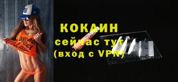 молекула духа Карпинск