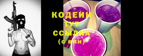 молекула духа Карпинск