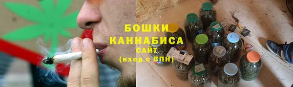 молекула духа Карпинск