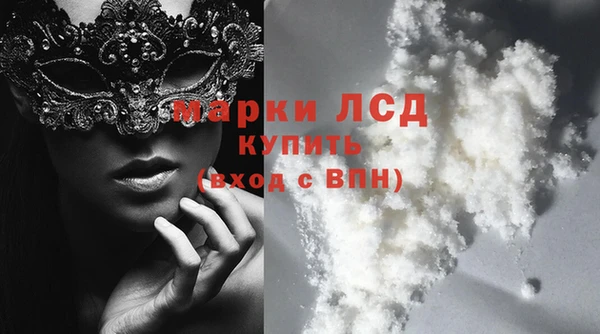 ГАЛЛЮЦИНОГЕННЫЕ ГРИБЫ Карталы