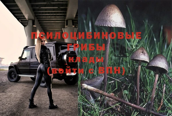 ГАЛЛЮЦИНОГЕННЫЕ ГРИБЫ Карталы