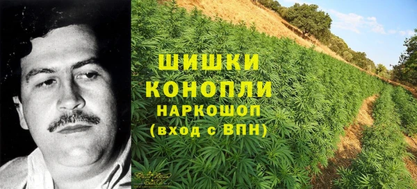 молекула духа Карпинск