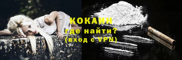 ГАЛЛЮЦИНОГЕННЫЕ ГРИБЫ Карталы