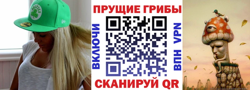 Галлюциногенные грибы Magic Shrooms Купить где Кизел